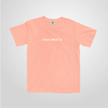 Load image into Gallery viewer, Sunshine (Peachy)